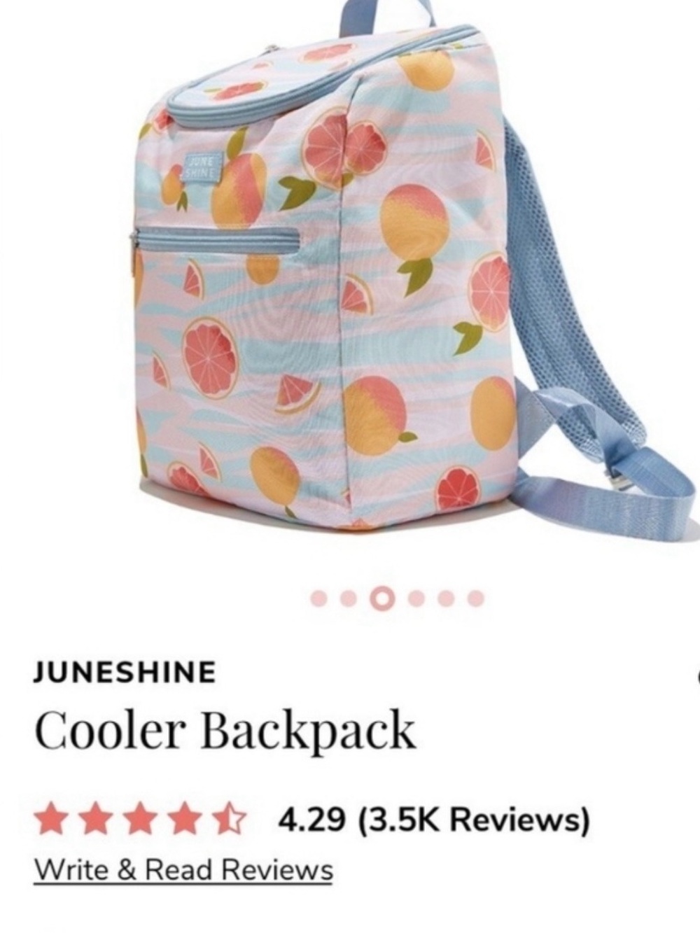 Kids Insulated Cooler Backpack - Pink & Blue Citrus Print